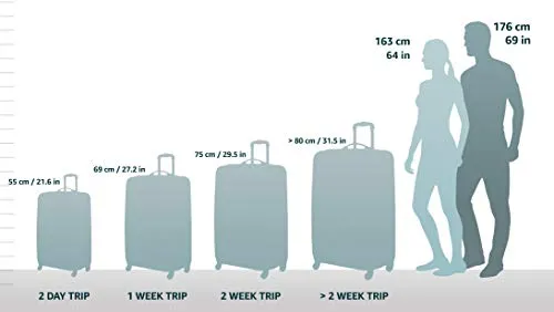Aimee Kestenberg Women's Sergeant 28" Camo Printed Hardside Expandable 8-Wheel Spinner Checked Luggage, Pink