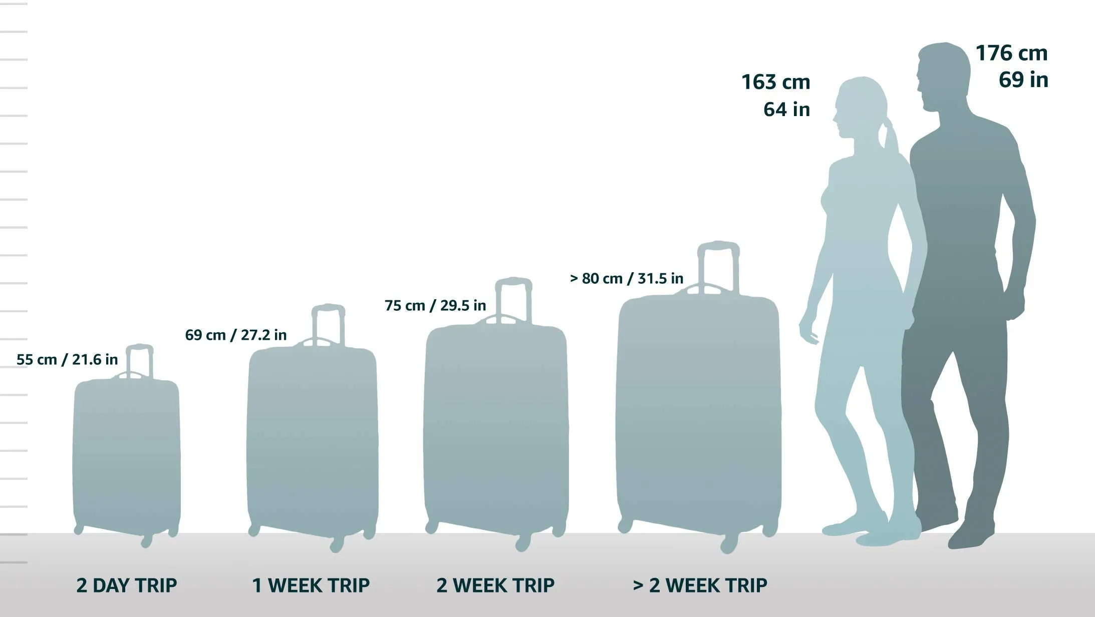 it luggage Intrepid 31.7" 8 Wheel Spinner, Black